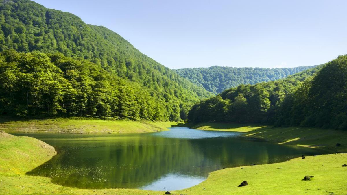 Casa Rural Arotzenia, Hogar Rustico En Pleno Valle De La Ulzama Лисасо Экстерьер фото