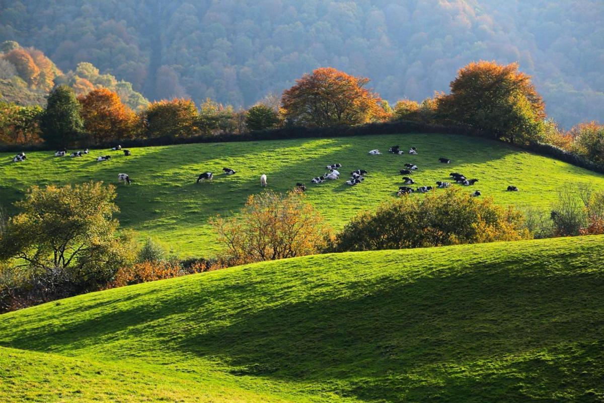 Casa Rural Arotzenia, Hogar Rustico En Pleno Valle De La Ulzama Лисасо Экстерьер фото