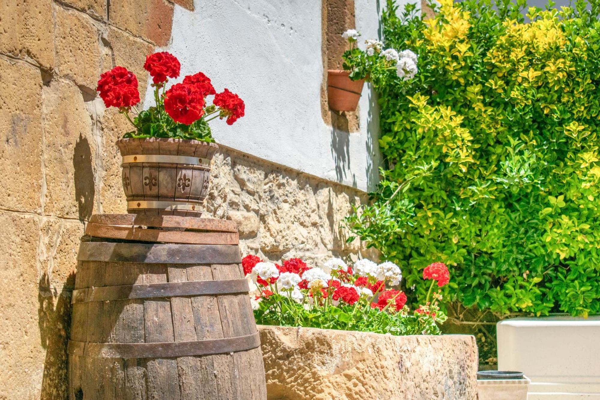 Casa Rural Arotzenia, Hogar Rustico En Pleno Valle De La Ulzama Лисасо Экстерьер фото